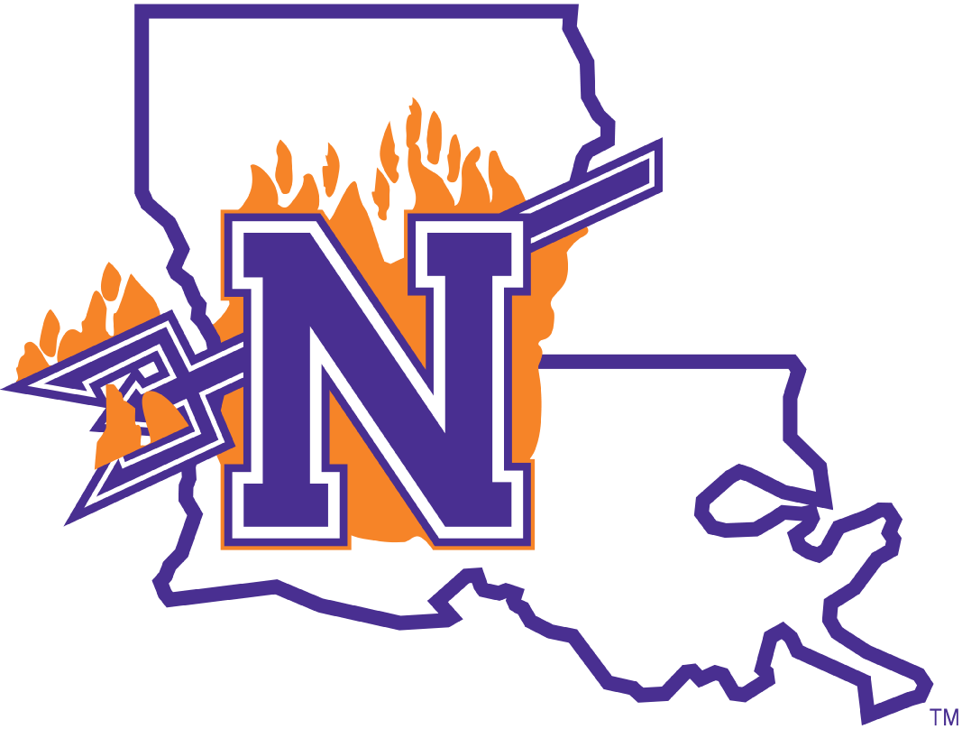 Northwestern State Demons 2008-2013 Primary Logo diy iron on heat transfer